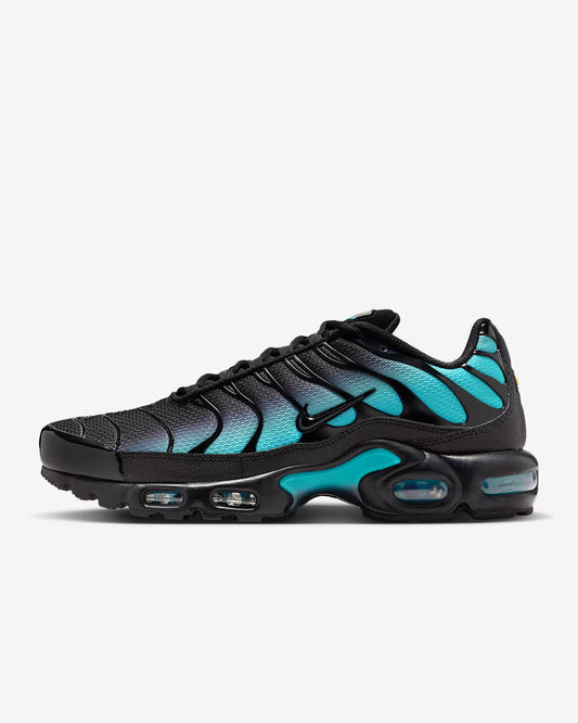 Nike Air Max Plus TN 'Black Dusty Cactus'