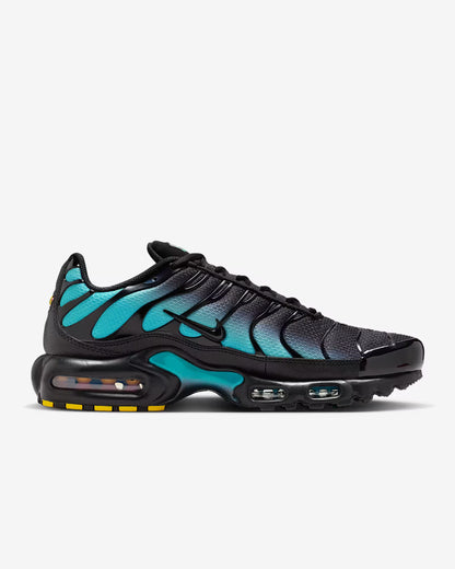 Nike Air Max Plus TN 'Black Dusty Cactus'
